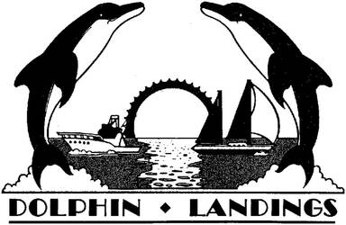 Dolphin Landing
