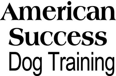 American Success Dog Training